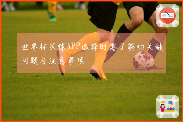 世界杯买球APP选择时需了解的关键问题与注意事项