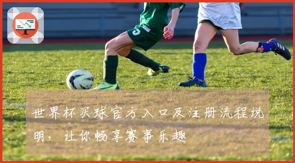 世界杯买球官方入口及注册流程说明，让你畅享赛事乐趣