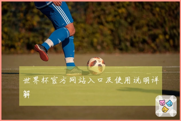 世界杯官方网站入口及使用说明详解