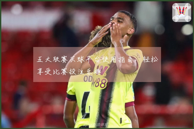 五大联赛买球平台使用指南，轻松享受比赛投注乐趣