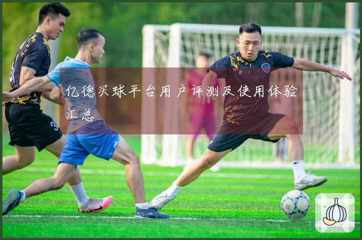 亿德买球平台用户评测及使用体验汇总