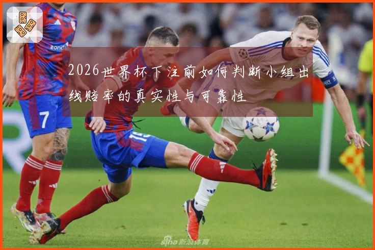 2026世界杯下注前如何判断小组出线赔率的真实性与可靠性