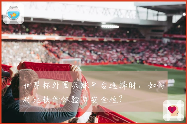 世界杯外围买球平台选择时，如何对比软件体验与安全性？