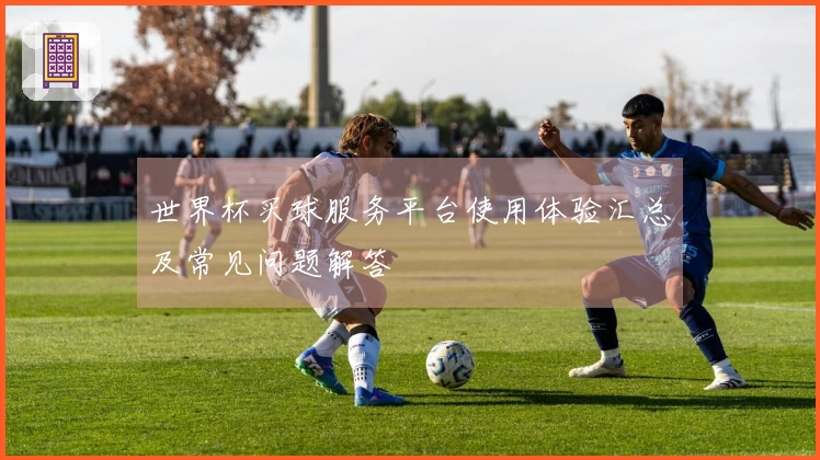 世界杯买球服务平台使用体验汇总及常见问题解答