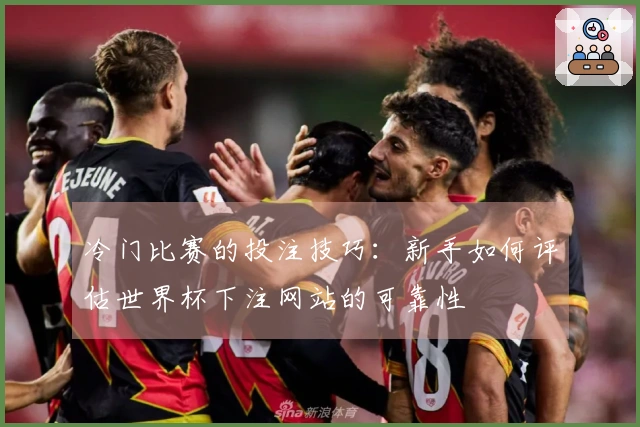 冷门比赛的投注技巧:新手如何评估世界杯下注网站的可靠性