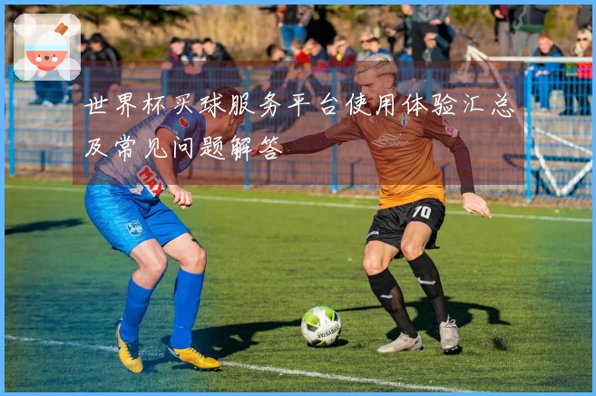 世界杯买球服务平台使用体验汇总及常见问题解答