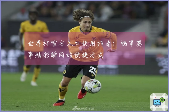 世界杯官方入口使用指南：畅享赛事精彩瞬间的便捷方式