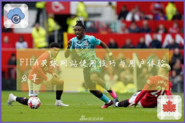 FIFA买球网站使用技巧与用户体验分享