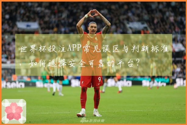 世界杯投注APP常见误区与判断标准，如何选择安全可靠的平台？