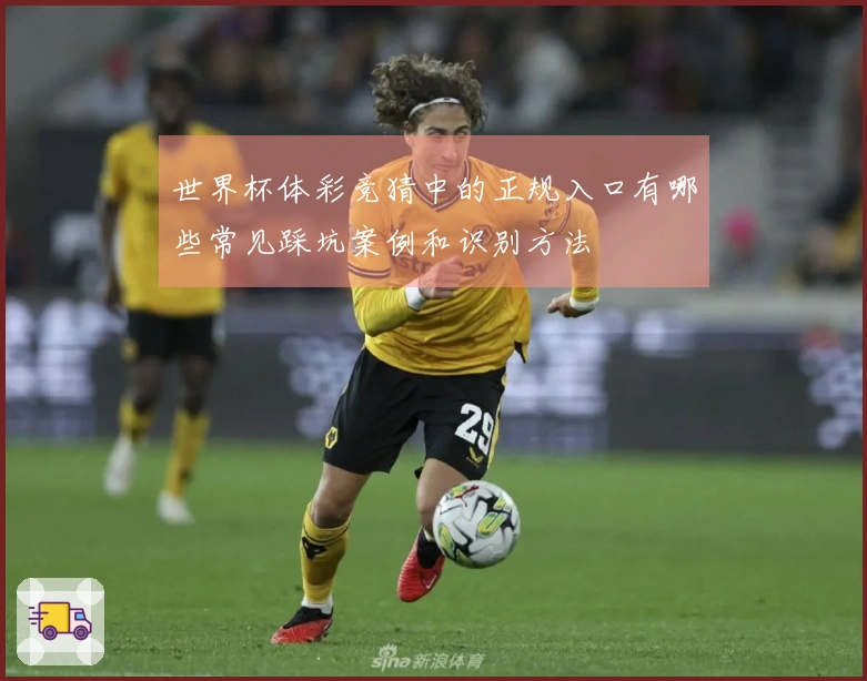 世界杯体彩竞猜中的正规入口有哪些常见踩坑案例和识别方法