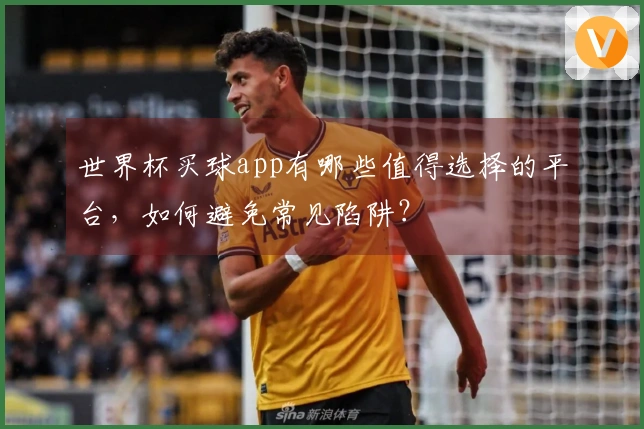 世界杯买球app有哪些值得选择的平台，如何避免常见陷阱？