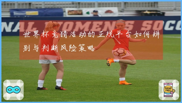 世界杯竞猜活动的正规平台如何辨别与判断风险策略