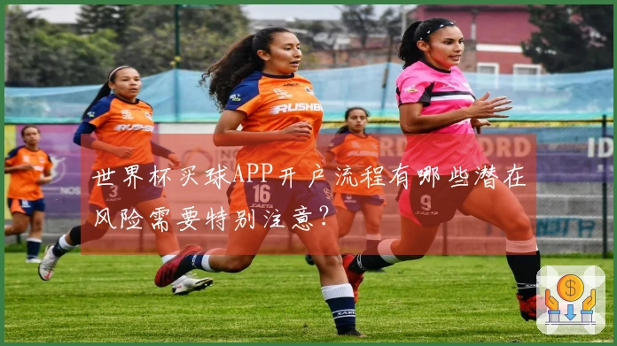世界杯买球APP开户流程有哪些潜在风险需要特别注意？