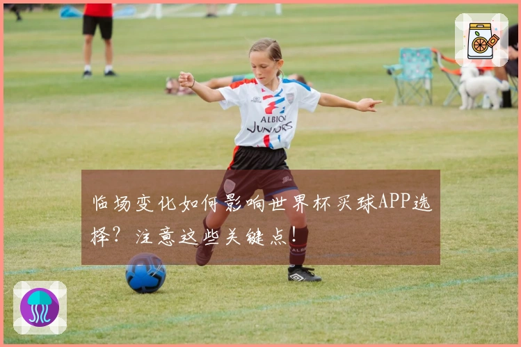 临场变化如何影响世界杯买球APP选择？注意这些关键点！